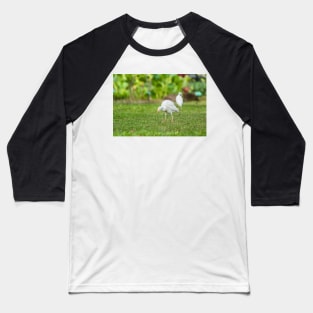 Cattle Egret 2 + 2 Baseball T-Shirt